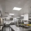 PVC Aluminum Composite Ceiling Panel Commercial Kitchen Industrial Use WYRAX (1) PVC Aluminum Composite Ceiling Panel Commercial Kitchen Industrial Use WYRAX